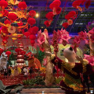 Chinese New Year exhibition seen while at the International Home Builder show in Vegas!
#ibs2020